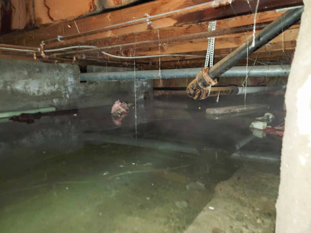 Malvern, AR Water damage restoration Pros
