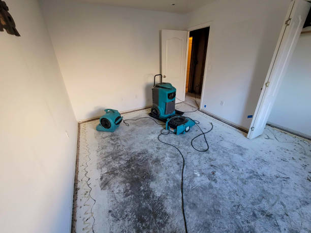 Best Carpet water damage restoration  in Malvern, AR