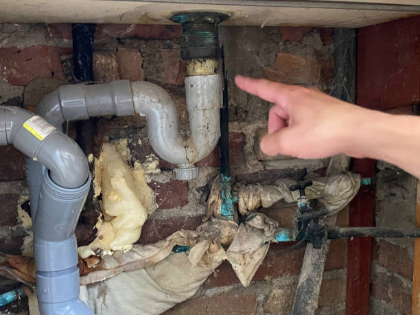 Best Basement water damage restoration  in Malvern, AR