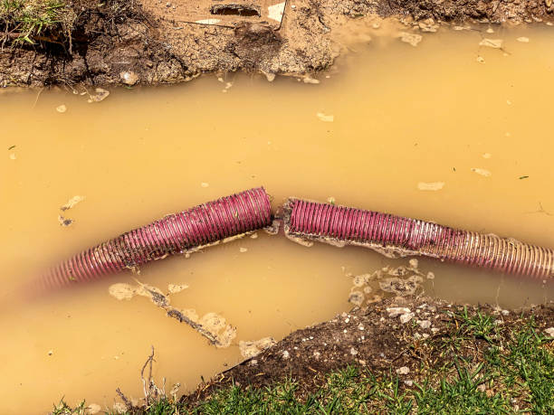 Best Professional water damage repair  in Malvern, AR
